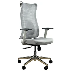 Крісло комп'ютерне HQOC-17-G Perfect Home Сірий (PFH-092088)