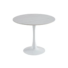 Стіл обідній T-325 каса вайт + білий